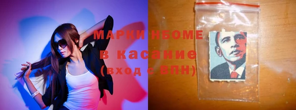 хмурый Касимов
