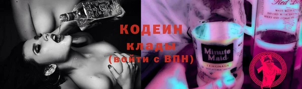 хмурый Касимов