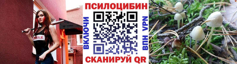 Купить  Глазов  Псилоцибиновые грибы Psilocybe 